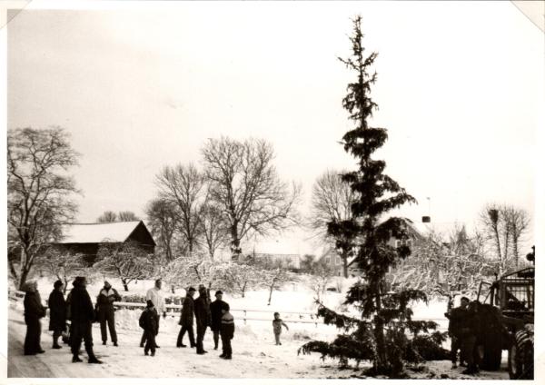 1983. Det var en gång en gran var så kort den var inte grann att skåda. En råkade fastna på dess kort.