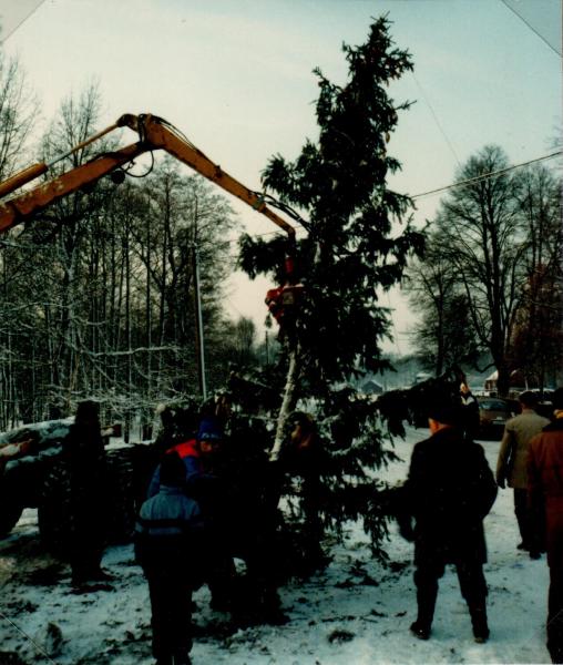 1983. Det var en gång en gran var så kort den var inte grann att skåda. En råkade fastna på dess kort.